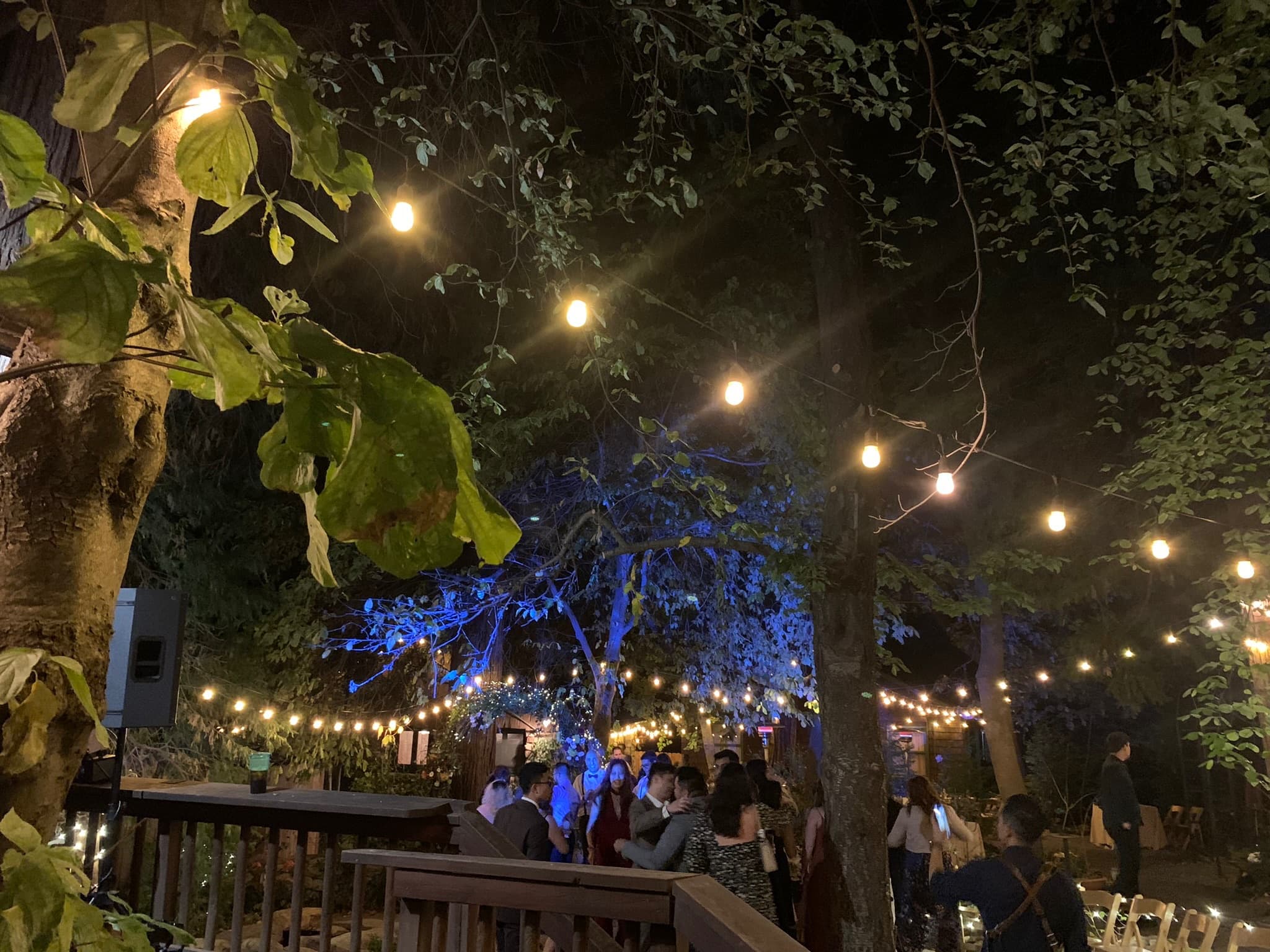 An evening wedding reception at Willow Woods Park near Lake Arrowhead, lit by string lights strung through the trees